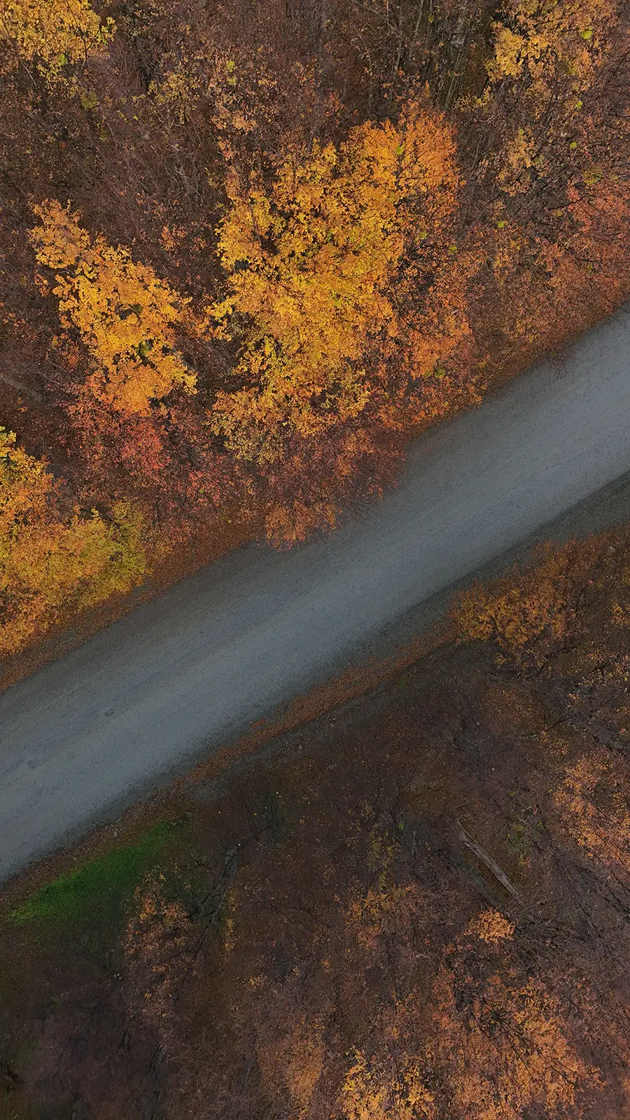 Otoño